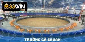 Trường gà savan - Thiên đường làm giàu nhanh nhất 2024